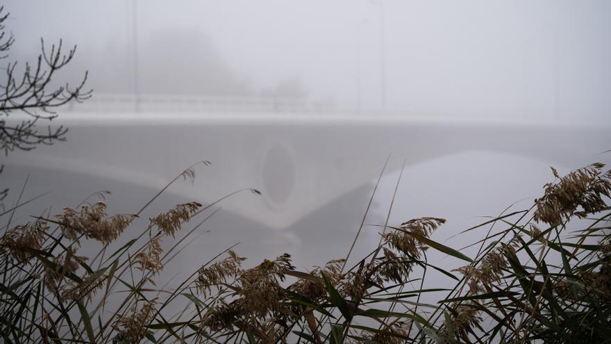 Zamora y la niebla