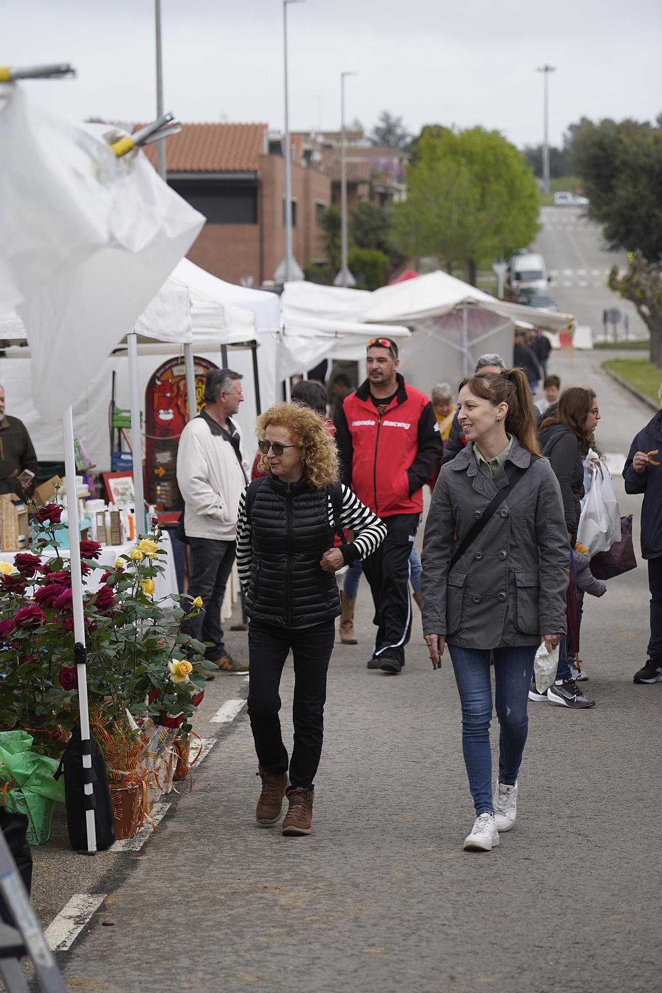 Primera jornada de la Fira de Primavera de Campllong