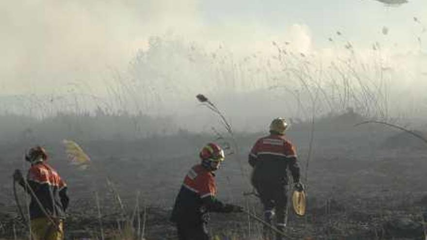 Dos incendios casi simultáneos calcinan junto a las Salinas 3,5 hectáreas de carrizal