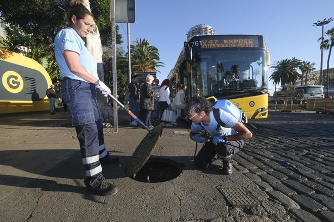 Trabajos de desratización en la zona del parque de Santa Catalina, en Las Palmas de Gran Canaria