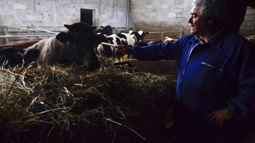 El ganadero, Severino Fernández, junto a las reses que le dejaron en la granja.  // Brais Lorenzo