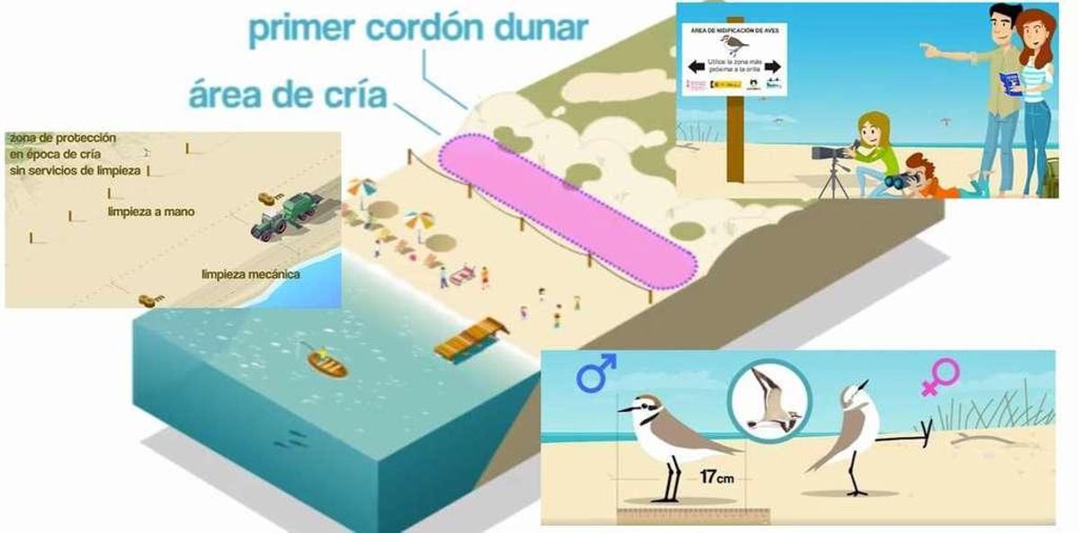 Imágenes que forman parte del vídeo de concienciación difundido por la Comunidad Valenciana. // FdV