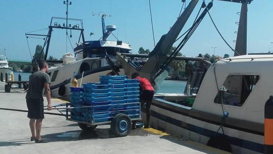 más de cincuenta años avalan a este mercado, el cual ha sido durante muchos años punto de encuentro entre los pescadores cullerenses y comerciantes.Las embarcaciones descargan las capturas en el muelle.La cofradía de pescadores gestiona la lonja.Los hosteleros acuden a la subasta electrónica.Los productos se muestran a los compradores. f joan gimeno