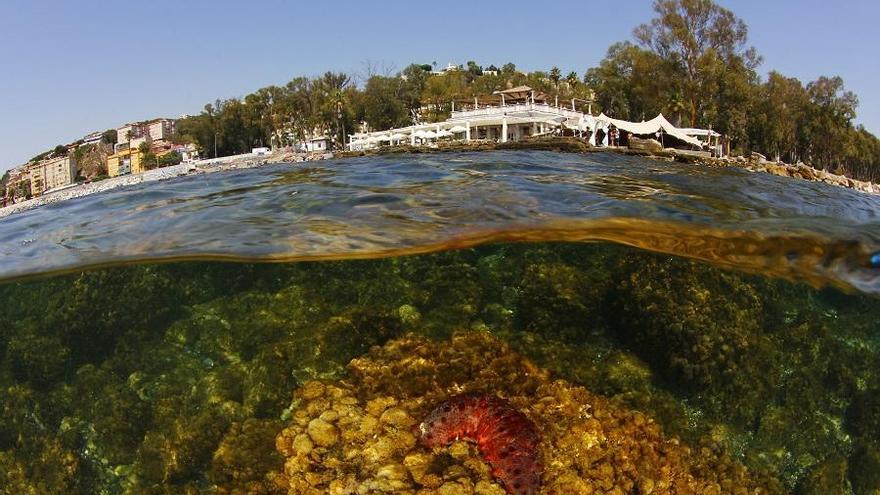 Vista del roquedal de los Baños del Carmen, que para el Aula del Mar se vería amenazado con la playa artificial.