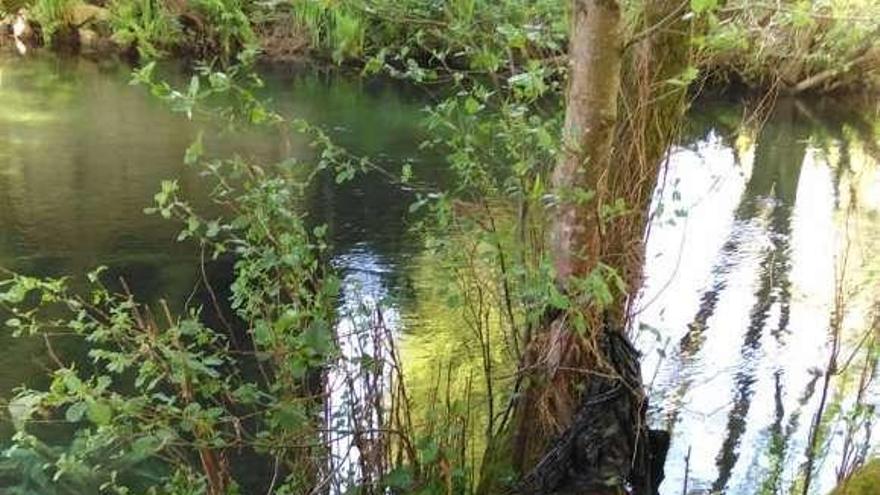 Vertido en Vilatuxe  |  El edil no adscrito de Lalín, Juan José Cruz, denunció ayer lo que considera un vertido a la altura de Ponte da Veiga, debajo del paso de Vilatuxe a Laro. Sospecha que el vertido permanente al río proceda de la decantadora de Barciela. &quot;Todo apunta a lodos de las aguas de los proyectos de saneamiento de la etapa del Partido Popular&quot;, dice, y asegura que este episodio puede verificarse in situ.