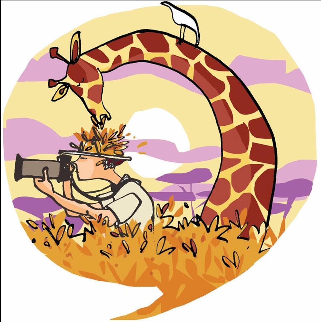 Safaris fotográficos por España y África