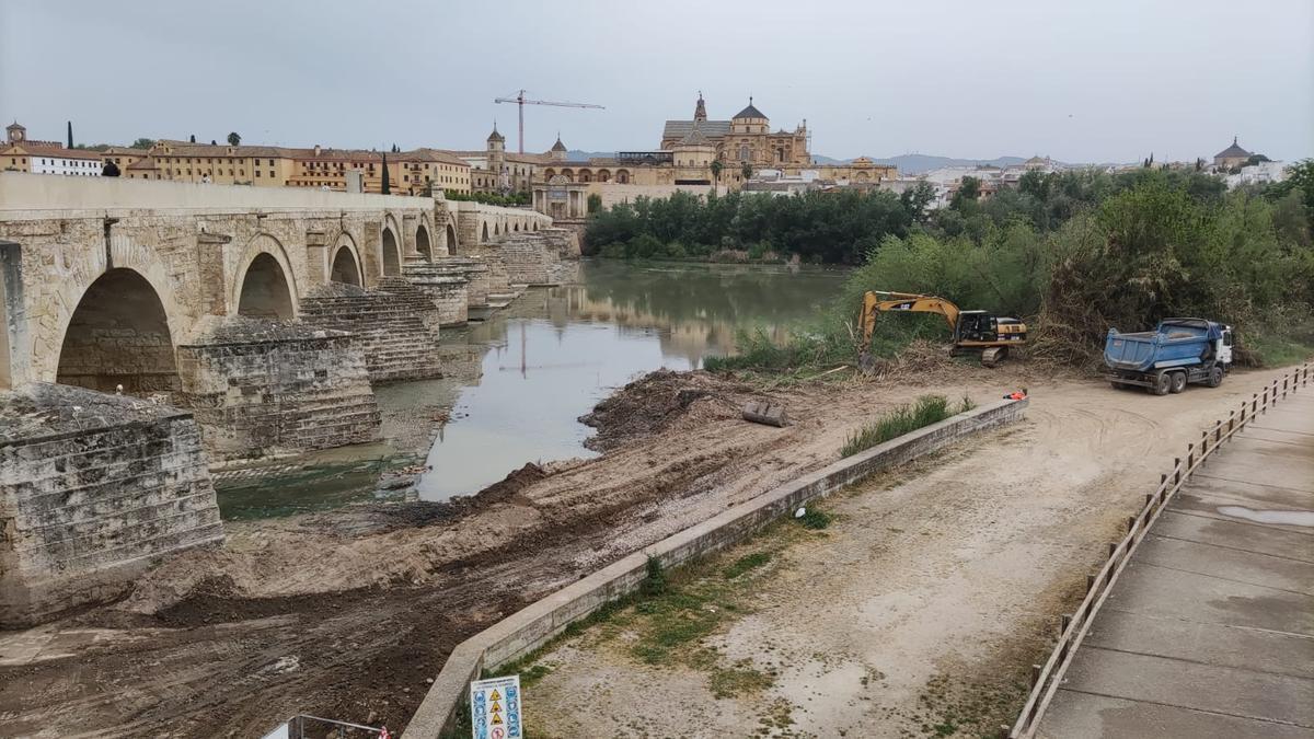 Varias máquinas retiran lodos del entorno del Puente Romano