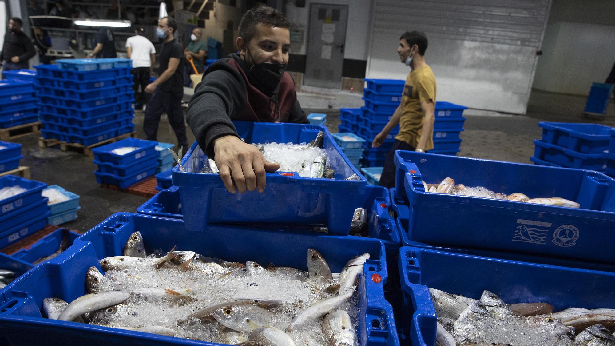 Barcelona 20/10/2021 Pescadores de Barcelona en crisis Pescadores descargan las capturas de la jornada de un barco de arrastre en el Moll del Rellotge En la foto subasta de pescado en la lonja Foto de Ferran Nadeu