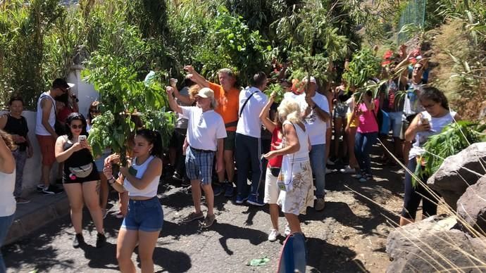 La Rama inunda El Valle de Agaete