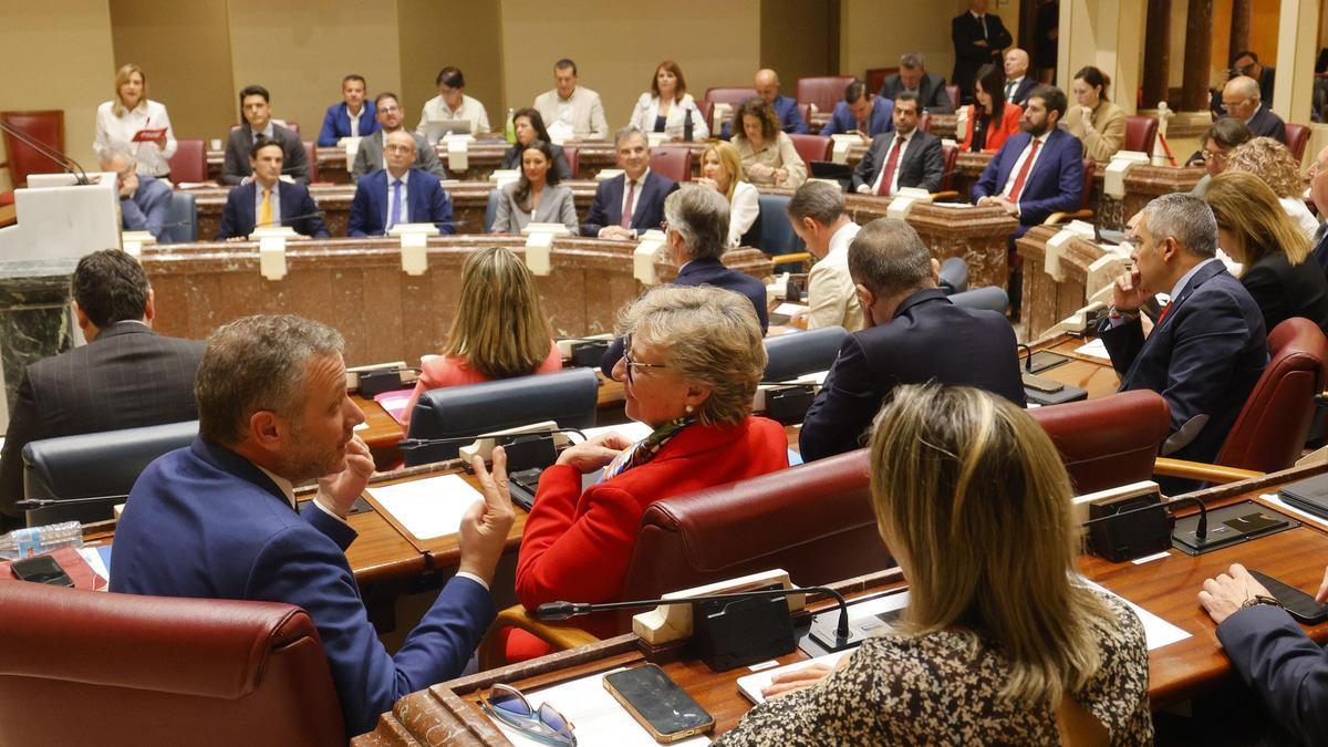 Pleno de la Asamblea Regional