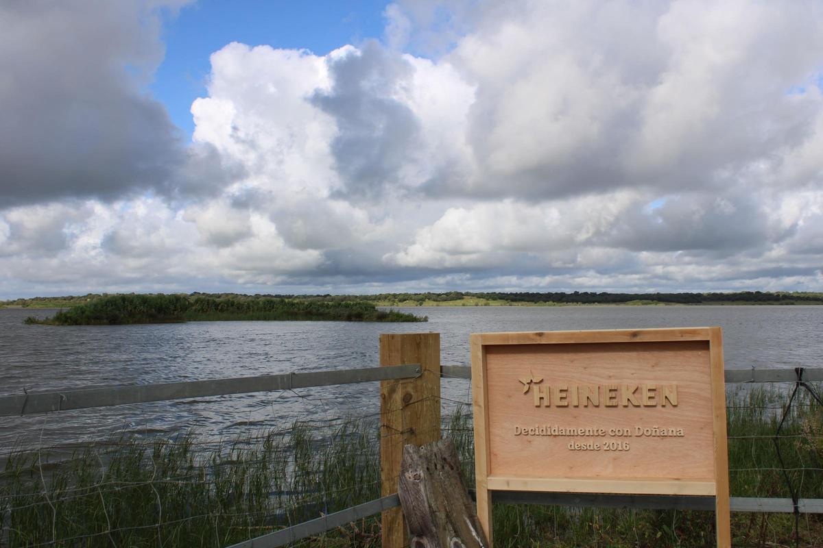 Proyecto de Heineken en Doñana