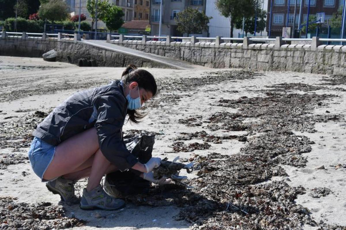 La costa arousana, un poco más limpia