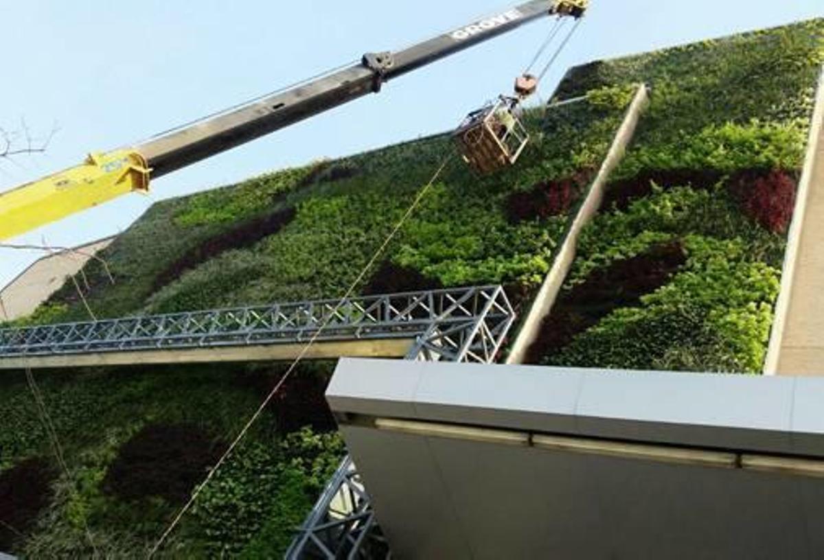 Nacho Solano crea un jardín vertical de 115.000 plantas y 3.000 metros  cuadrados