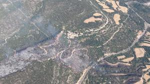 Incendio en Camarasa (Noguera, Lleida)