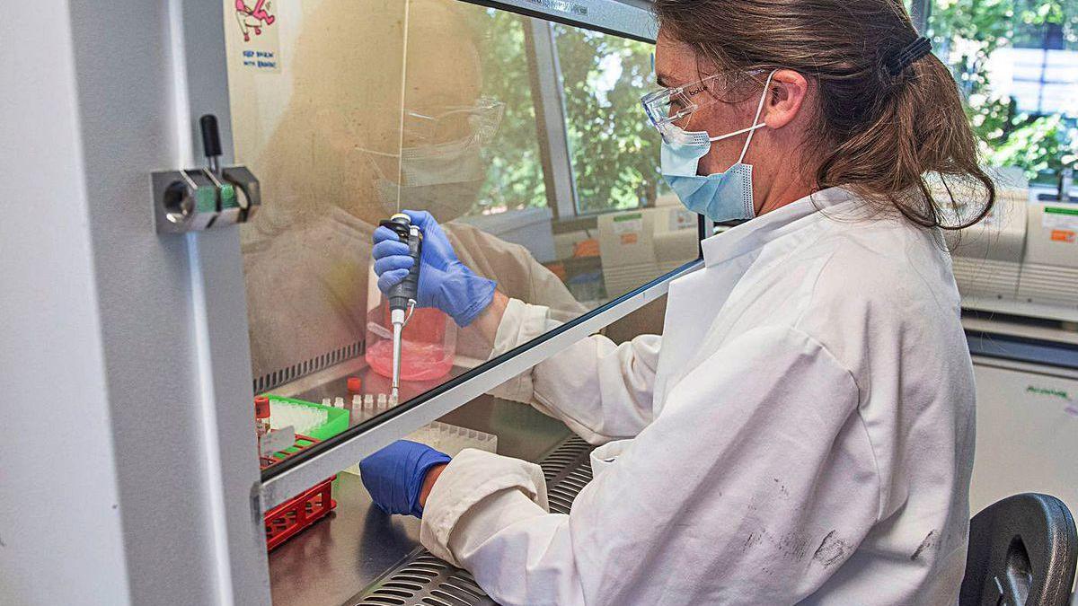 Pruebas para la vacuna en un laboratorio de Oxford.