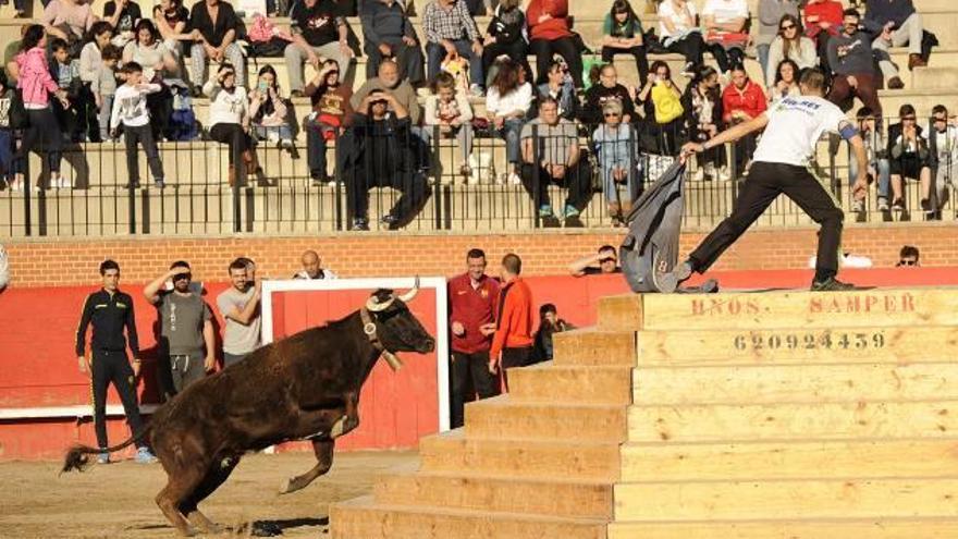 La ganadería Benavent en la Pascua Taurina