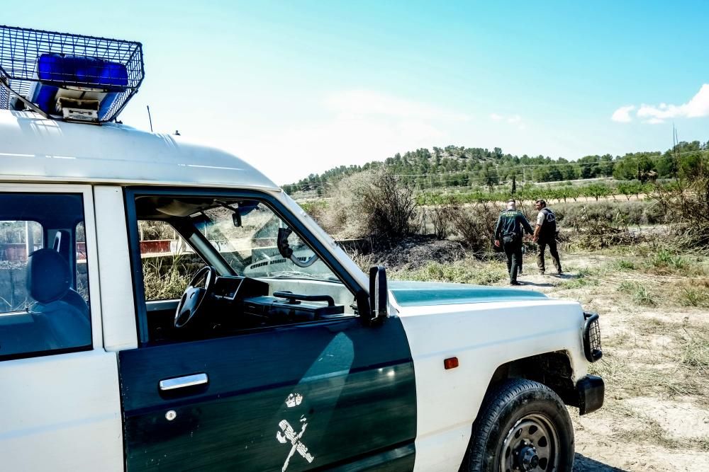 El fuego calcinó 20.000 metros cuadrados de matorral la noche del miércoles