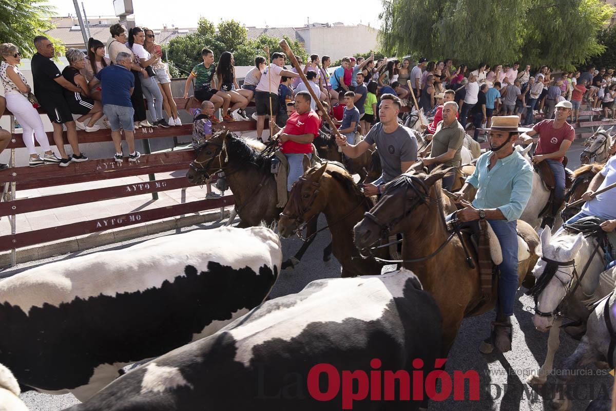 Primer encierro de las Fiestas de Moratalla