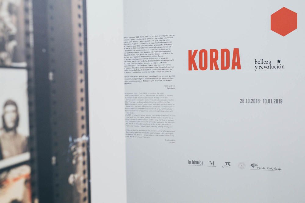 Un paseo por la exposición de La Térmica 'Korda: belleza y revolución