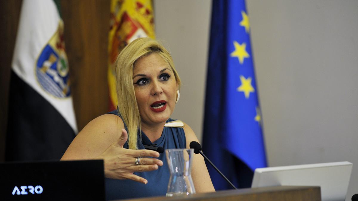 La consejera de Hacienda, Elena Manzano, este viernes en la Asamblea.