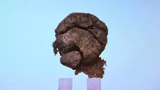 Descubren el pan más antiguo en Turquía: tiene 8.600 años