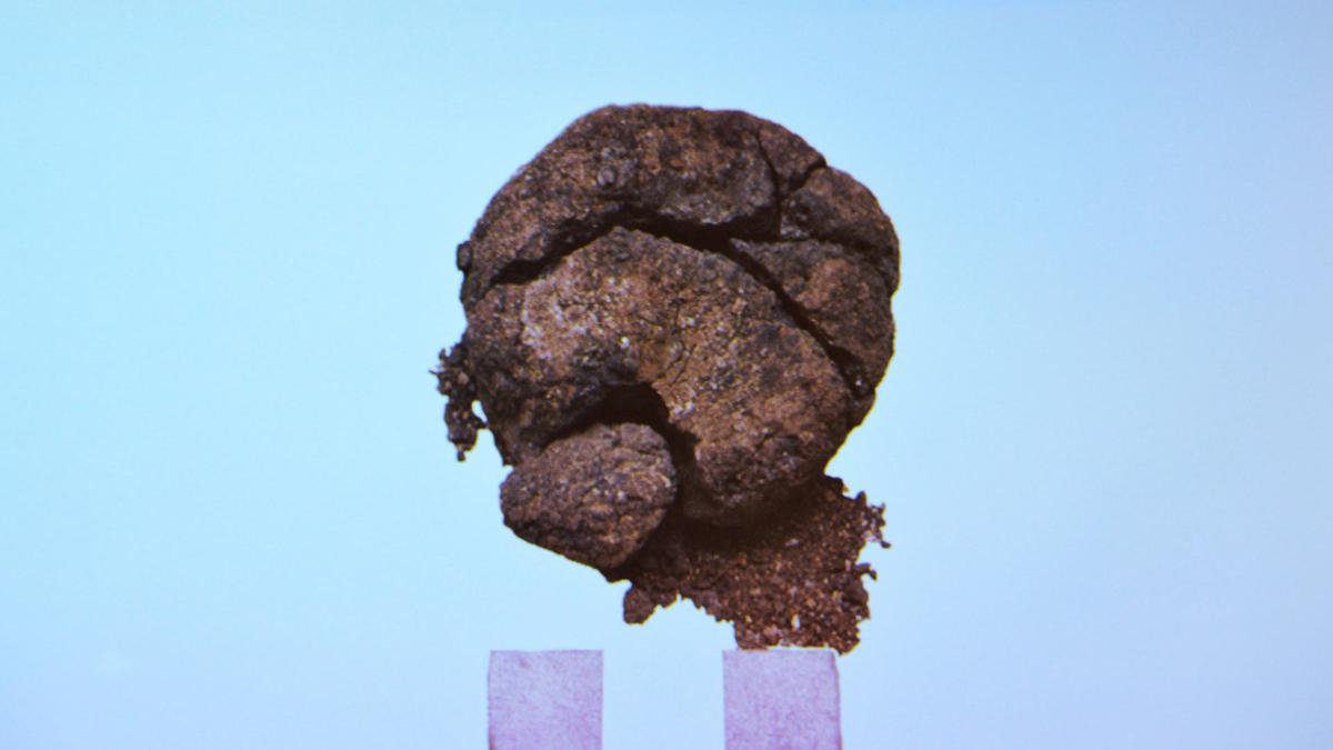El pan de 8.600 años descubierto en Çatalhöyük, en Turquía.