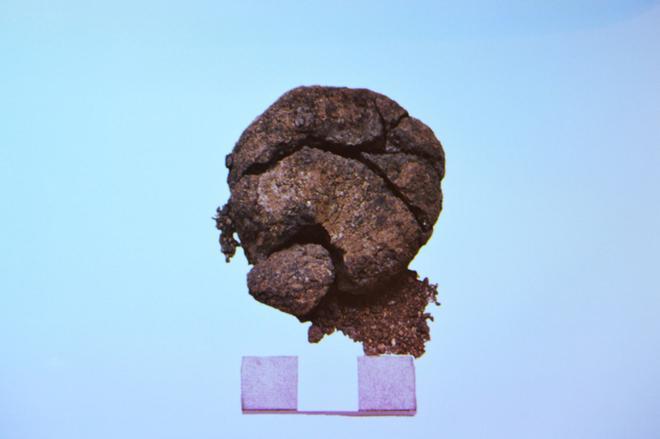 El pan de 8.600 años descubierto en Çatalhöyük, en Turquía.
