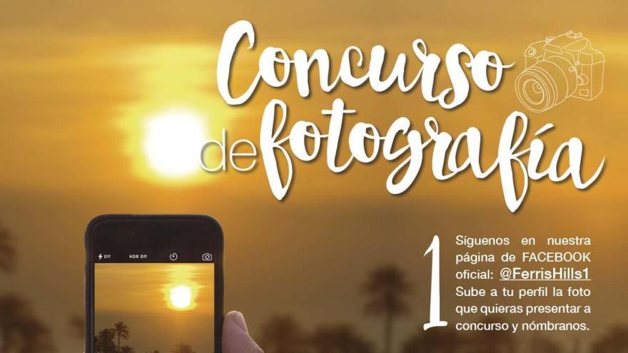 La propietaria del palmeral de Ferrís convoca un concurso de fotografía sobre el paraje