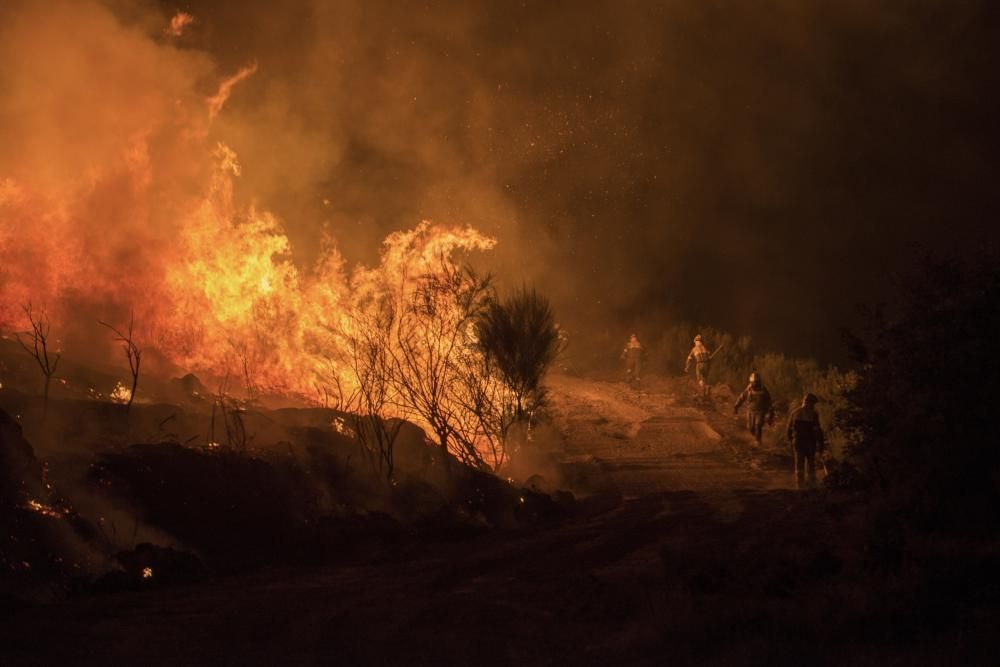 Oimbra sufre un incendio forestal // B.Lorenzo