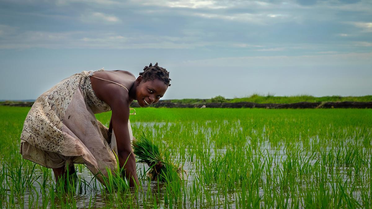 Escena rural en Mozambique, donde la vida local sigue muy vinculada a la tierra, el agua y los ritmos tradicionales.