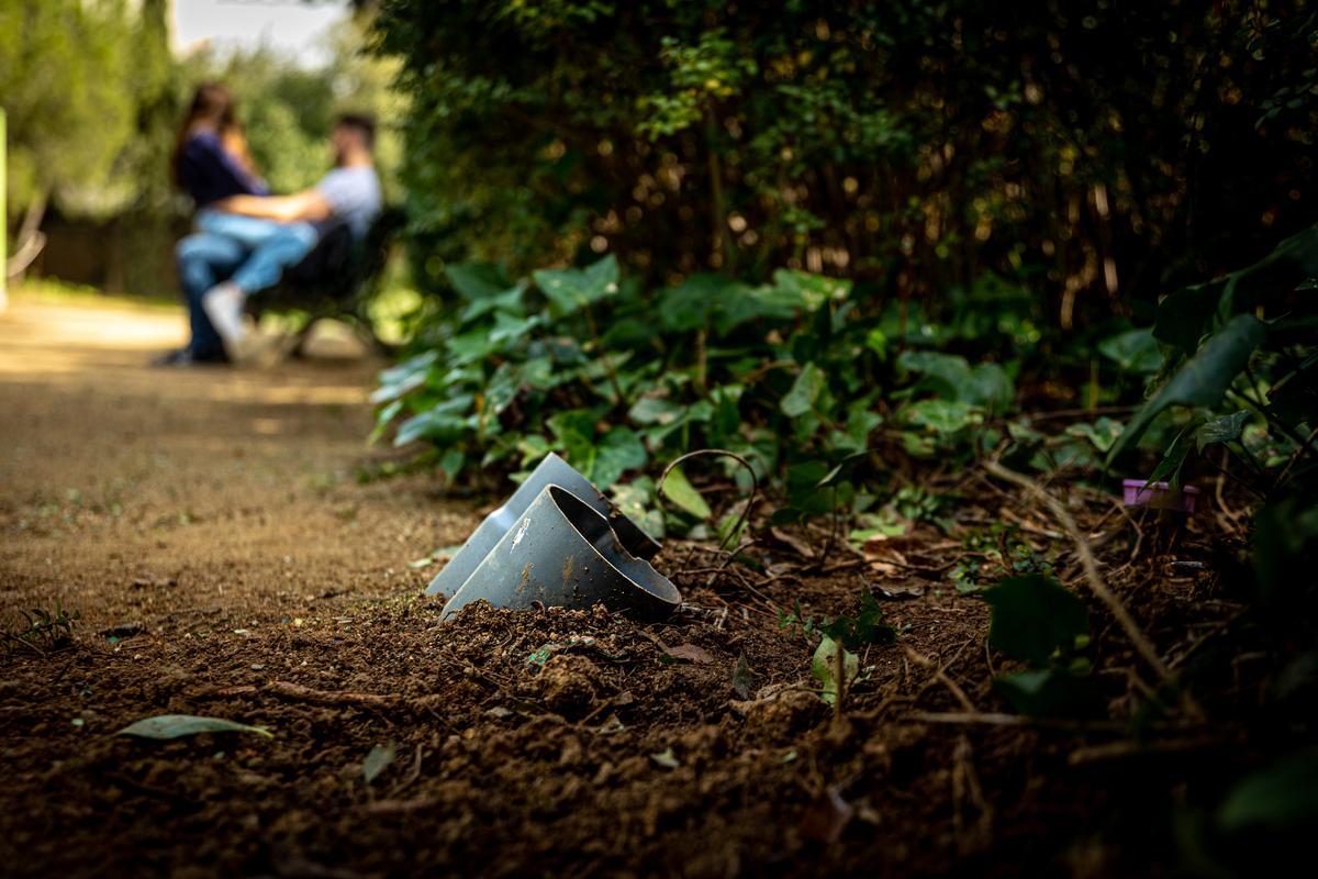 El deterioro de los Jardines de Pedralbes