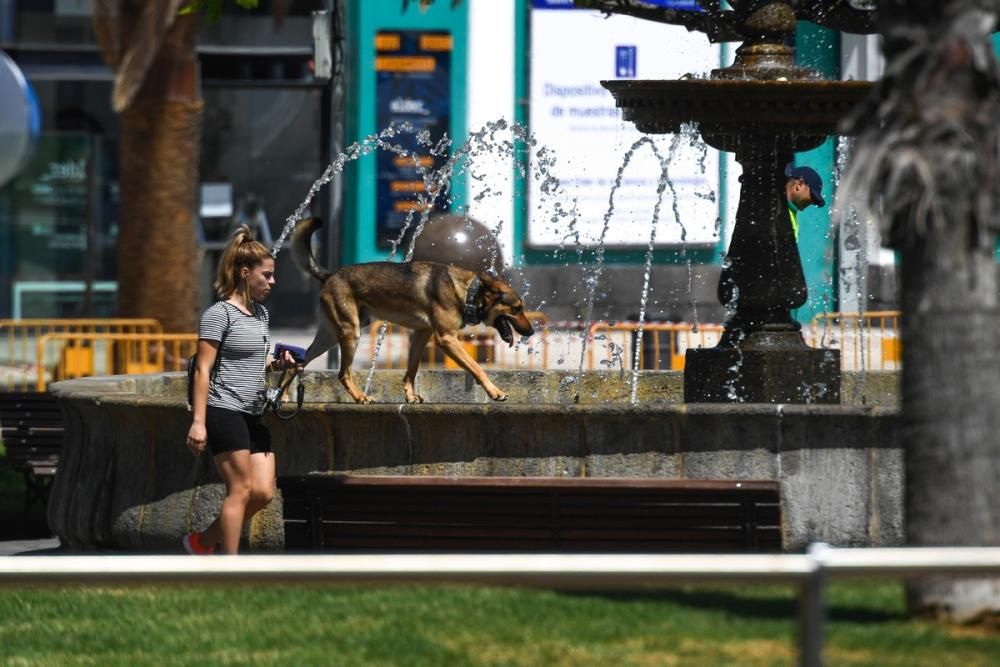 Desescalada en Santa Catalina y Las Canteras