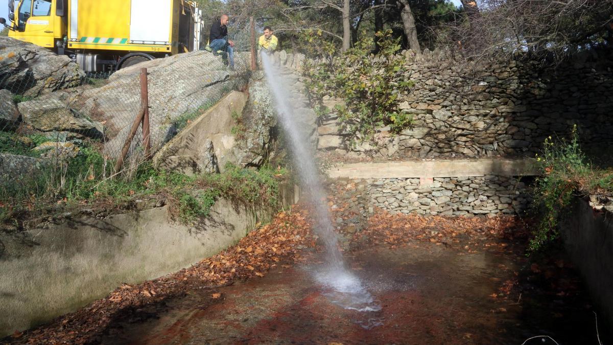 VÍDEO | Aboquen aigua regenerada en una bassa de cap de Creus "crucial" per a la reproducció d'amfibis