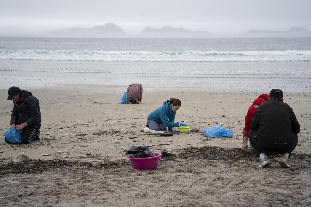 Voluntarios recogiendo pellets en la playas de Galicia.