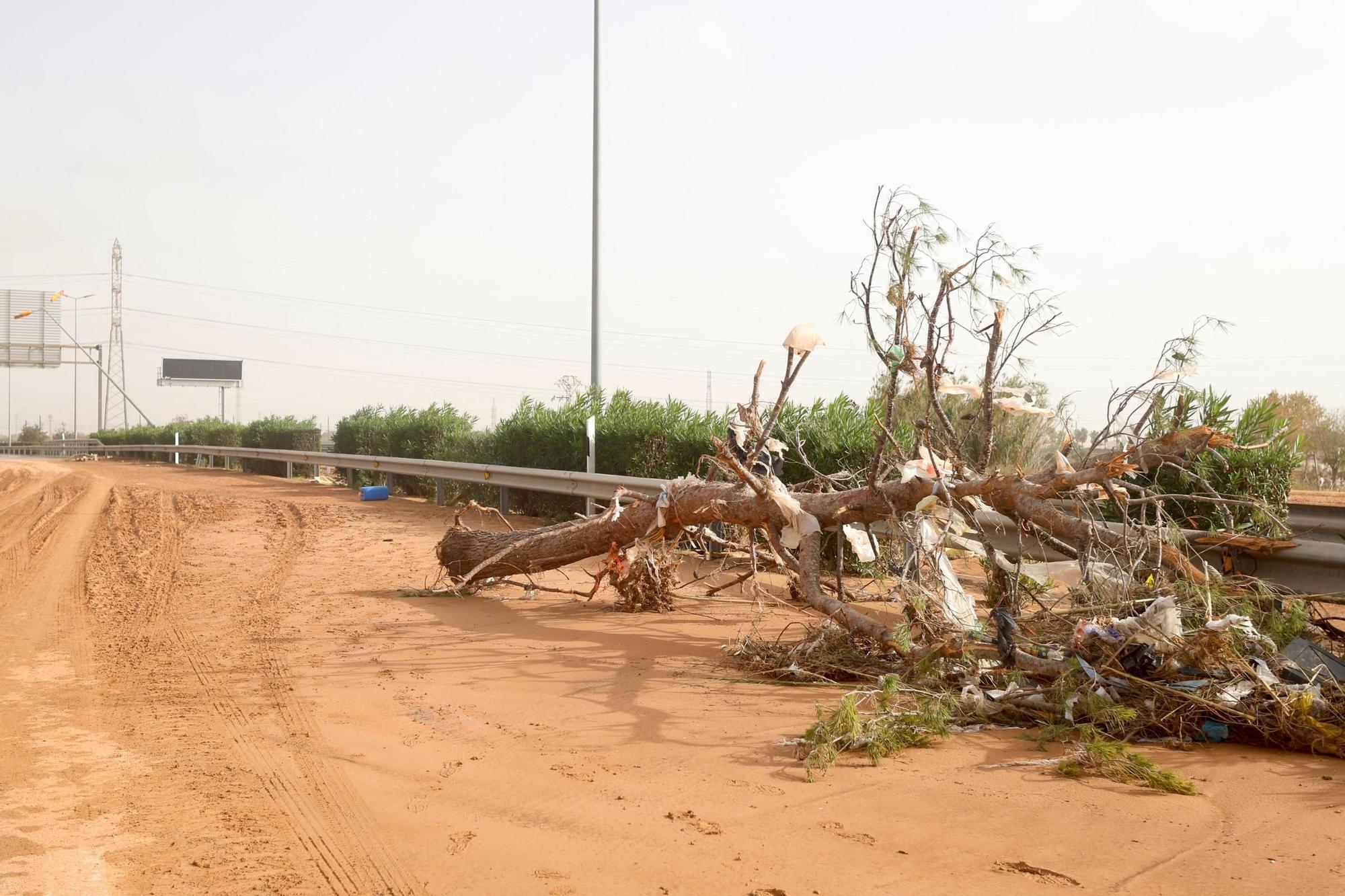 El devastador efecto de la DANA, en imágenes