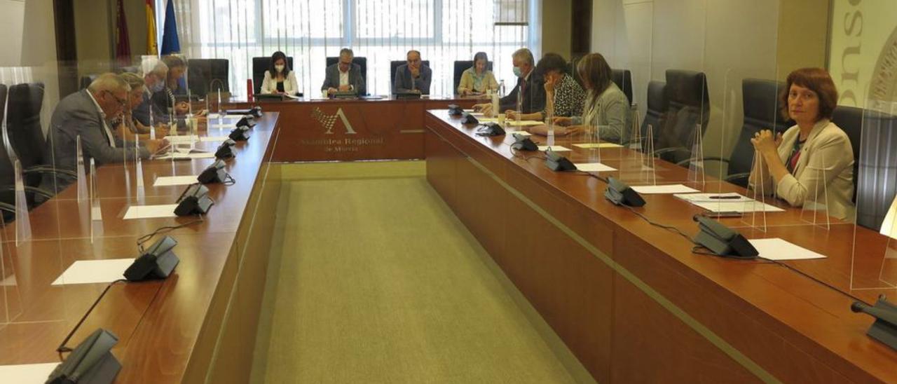 Reunión de la Comisión de Sanidad y Política y Social, ayer. | A.R.