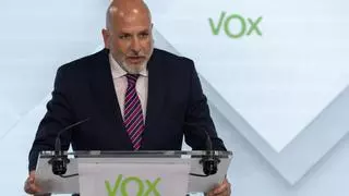 Vox se desmarca de la exhibición de banderas LGTBI "organizada por el PP en el Ayuntamiento de Cartagena"
