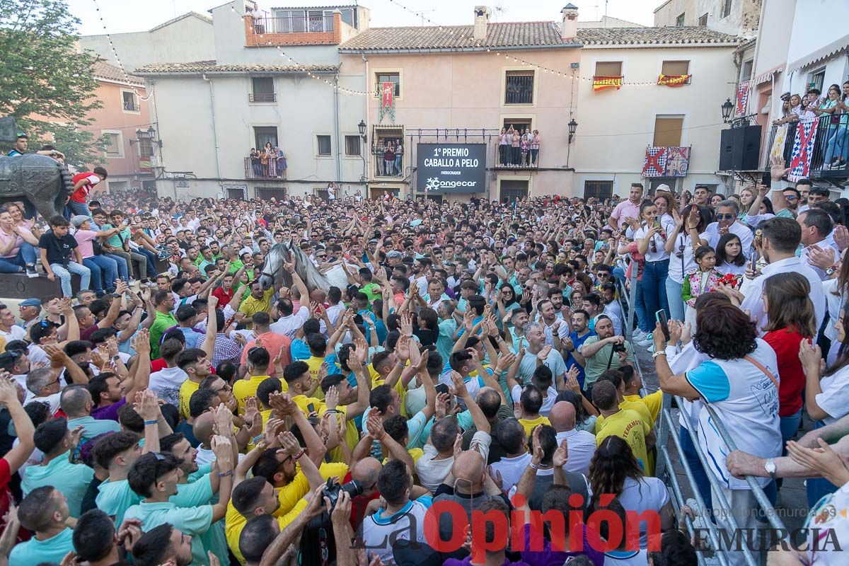 Entrega de premios del concurso morfológico de los Caballos del Vino de Caravaca