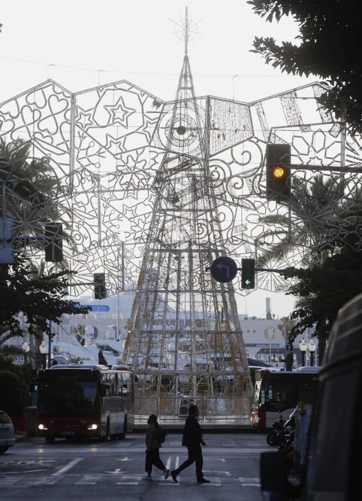 El árbol de Navidad de Alicante, por primera vez en la Explanada El árbol de Navidad de Alicante, por primera vez en la Explanada