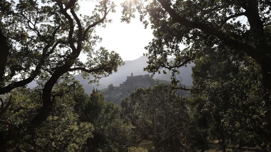 L’Albera marca el camí per a l’adaptació de la muntanya mediterrània al canvi climàtic