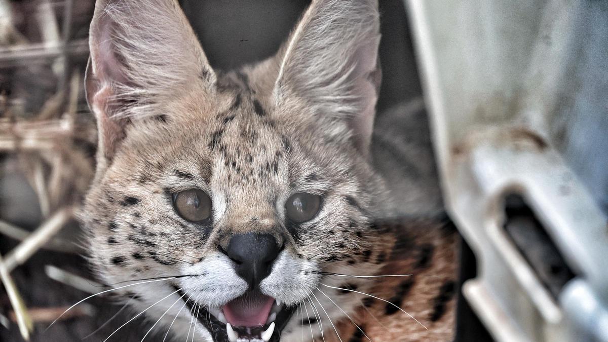 Fundación Neotrópico