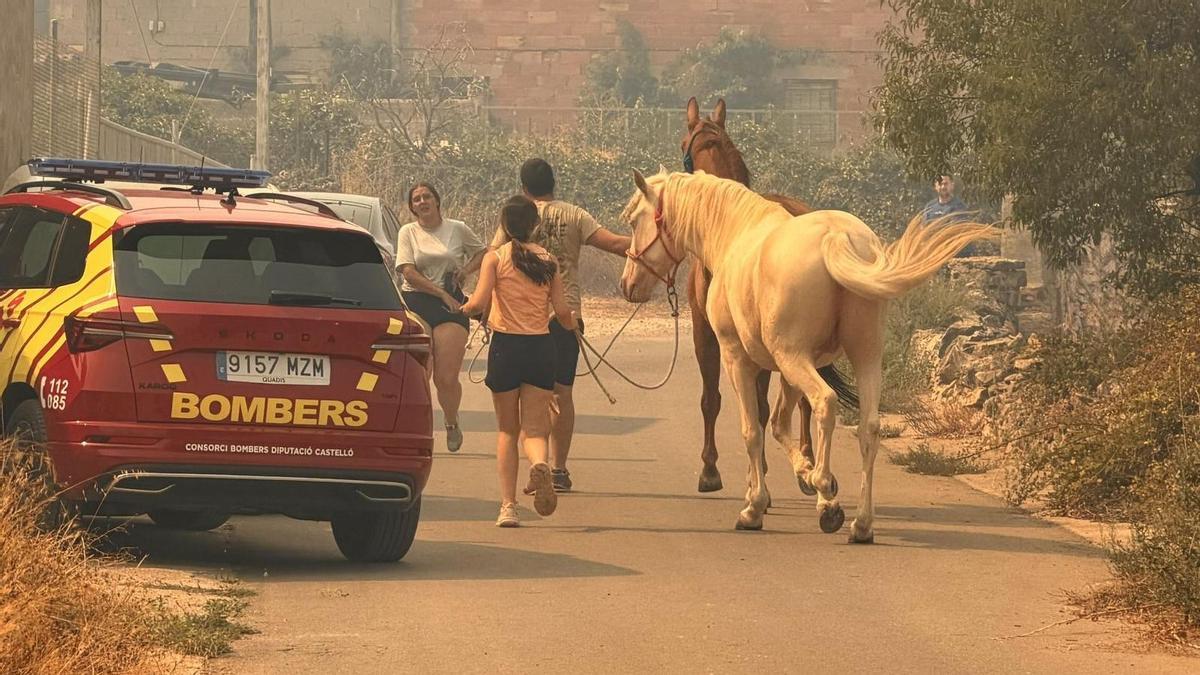 El viento complica las tareas del incendio de Tírig pero la evolución es positiva.
