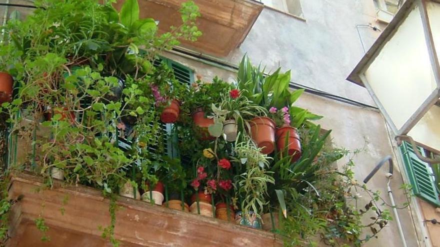 Decorar el balcón con macetas y plantas no altera el edificio, según la Audiencia