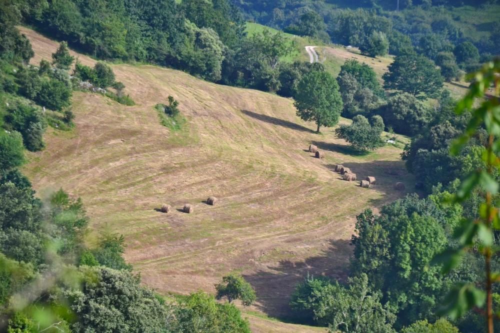 Asiegu (Cabrales), nuevo premio Pueblo Ejemplar de