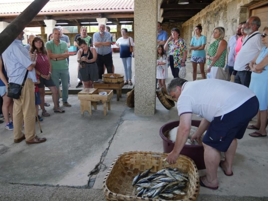 El Museo de la Salazón recibe las rutas de la Diputación y acoge una degustación de sardinas