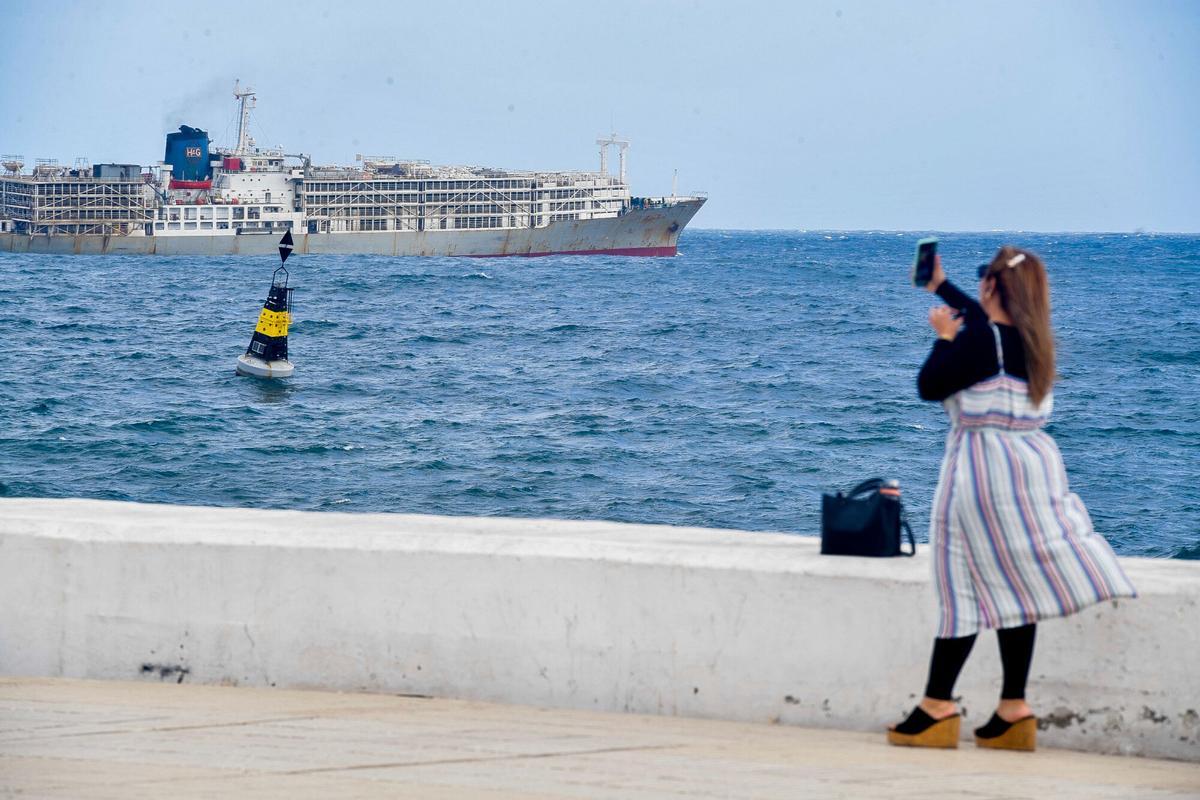 Barco 'Zein I', fondeado cargado de vacas en el Puerto de Las Palmas Barco 'Zein I', fondeado cargado de vacas en el Puerto de Las Palmas