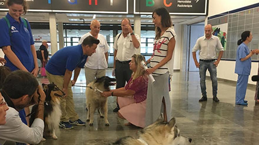 La consellera, agachada con uno de los perros en la entrada del hospital.