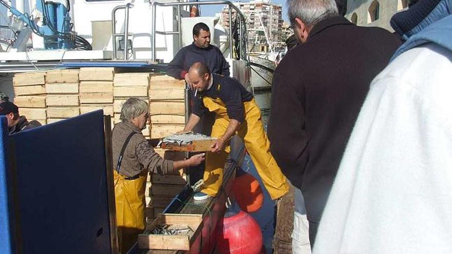 Una imagen de cajas de pescado en la Lonja de Torrevieja.