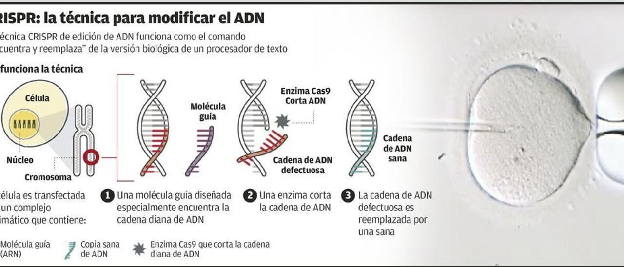 Un científico chino manipula el ADN de dos gemelas para hacerlas inmunes al sida