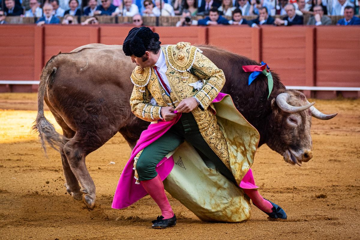 Morante remata a su toro con el capote. 1 de mayo de 2025 en la Maestranza.